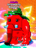 Admin Elephant